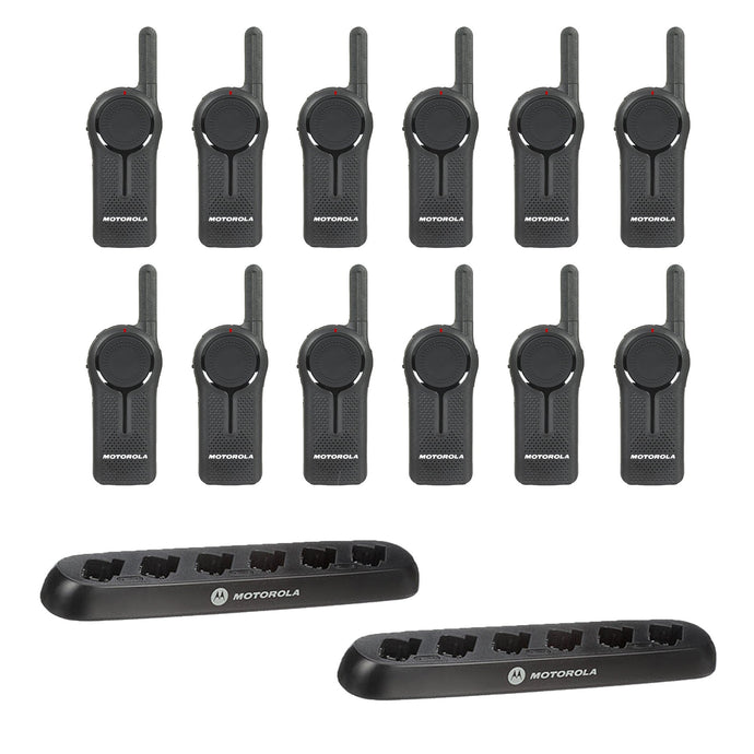 DLR1020 12 Pack with 2 Multi Unit Chargers